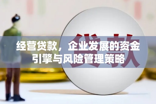 那玛夏经营贷款，企业发展的资金引擎与风险管理策略