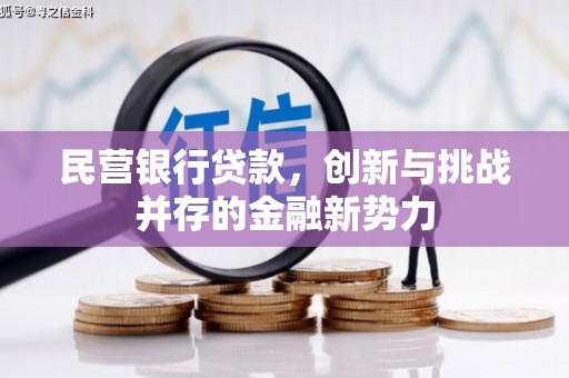 林芝民营银行贷款，创新与挑战并存的金融新势力