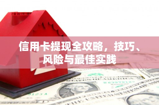 普格信用卡提现全攻略，技巧、风险与最佳实践