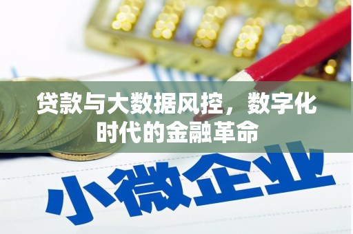 天桥贷款与大数据风控，数字化时代的金融革命