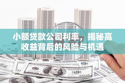 阿瓦提小额贷款公司利率，揭秘高收益背后的风险与机遇