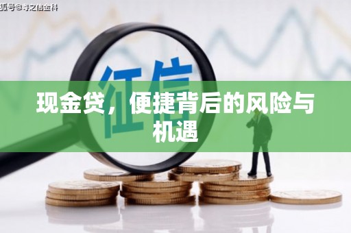 坪山新区现金贷，便捷背后的风险与机遇
