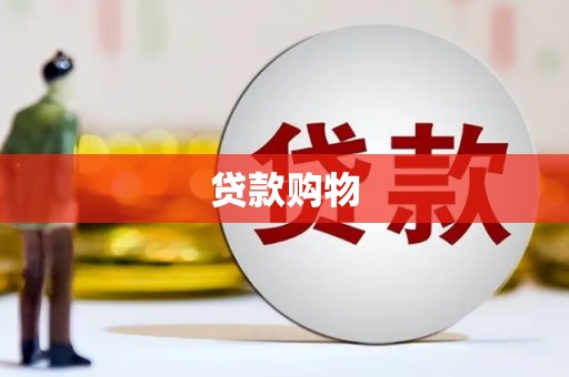 友谊贷款购物