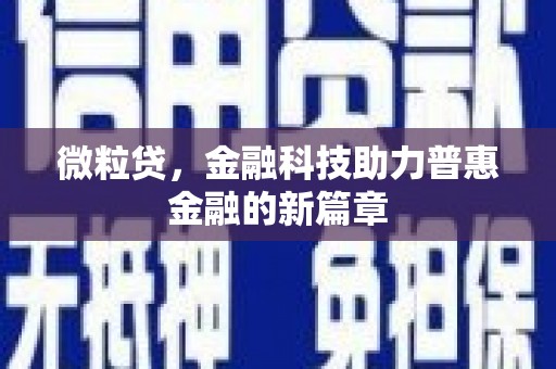 靖西微粒贷，金融科技助力普惠金融的新篇章
