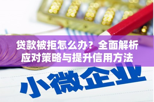 泗阳贷款被拒怎么办？全面解析应对策略与提升信用方法