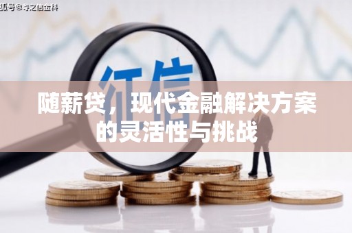 望谟随薪贷，现代金融解决方案的灵活性与挑战
