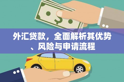 高碑店外汇贷款，全面解析其优势、风险与申请流程