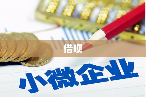 蒙阴借呗