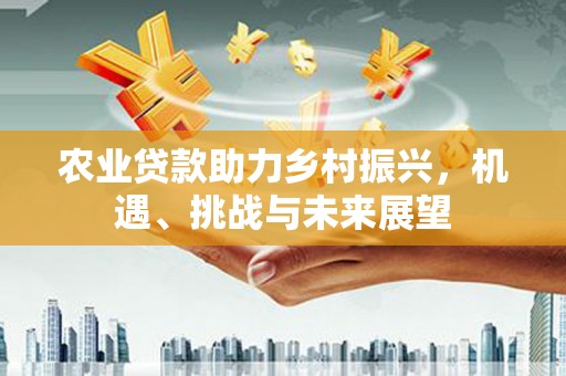 岢岚农业贷款助力乡村振兴，机遇、挑战与未来展望