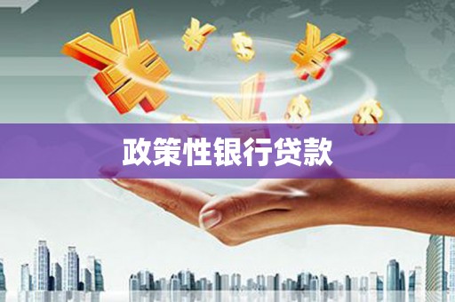 康县政策性银行贷款