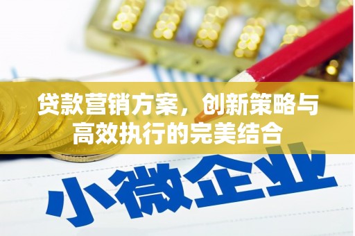 永济贷款营销方案，创新策略与高效执行的完美结合