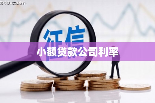 房县小额贷款公司利率