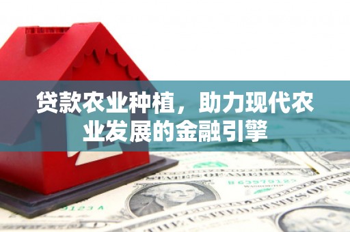 巩义贷款农业种植，助力现代农业发展的金融引擎
