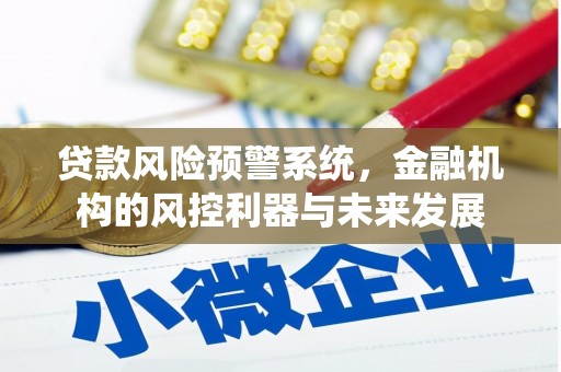 黄圃贷款风险预警系统，金融机构的风控利器与未来发展