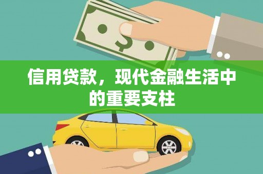 鹤岗信用贷款，现代金融生活中的重要支柱