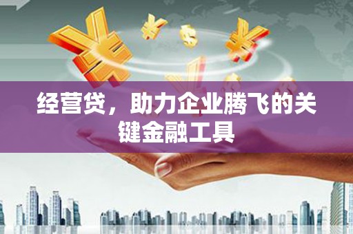 芦竹经营贷，助力企业腾飞的关键金融工具