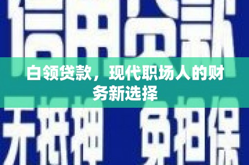 渭源白领贷款，现代职场人的财务新选择