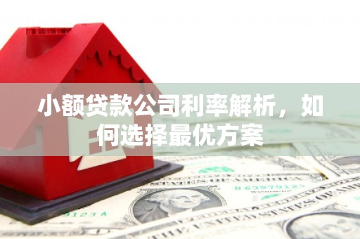 顺河小额贷款公司利率解析，如何选择最优方案