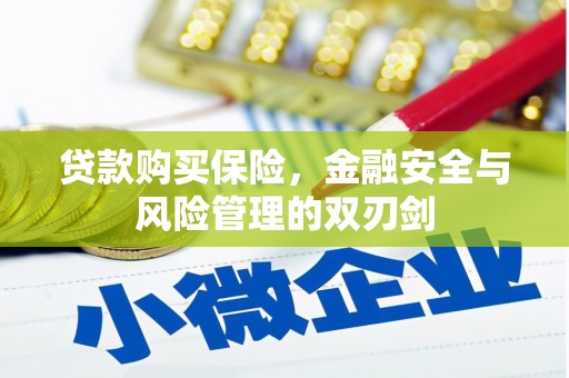 霍城贷款购买保险，金融安全与风险管理的双刃剑
