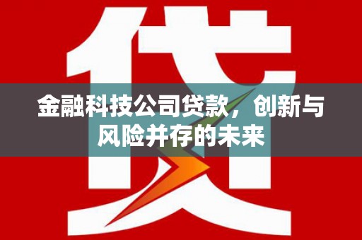 永州金融科技公司贷款，创新与风险并存的未来