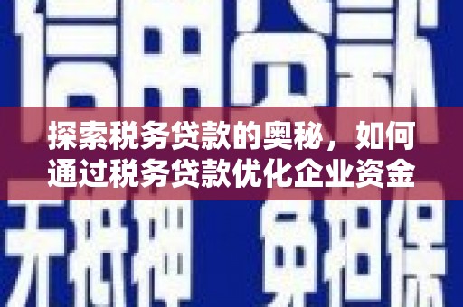 任城探索税务贷款的奥秘，如何通过税务贷款优化企业资金流