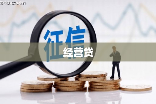 九原经营贷