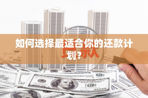 大观如何选择最适合你的还款计划？