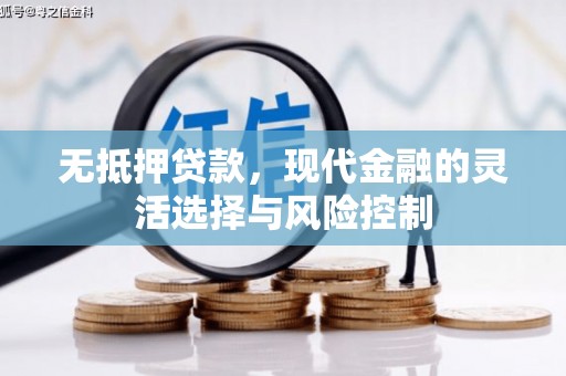 田家庵无抵押贷款，现代金融的灵活选择与风险控制