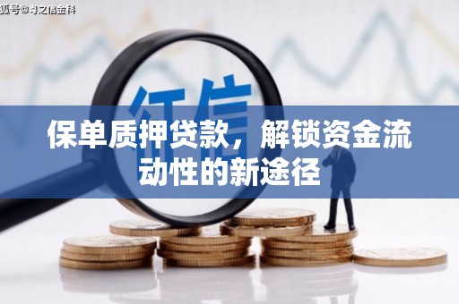 梅河口保单质押贷款，解锁资金流动性的新途径