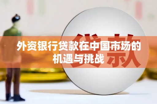 洋县外资银行贷款在中国市场的机遇与挑战