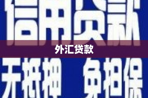 华阴外汇贷款