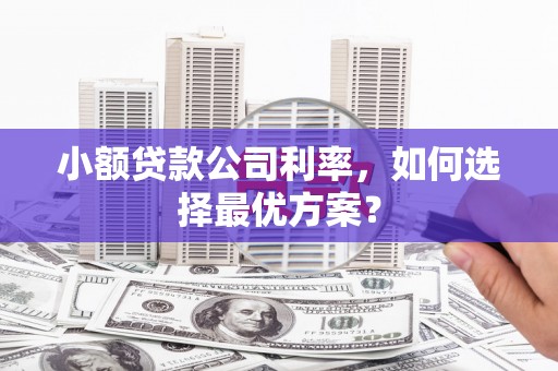 壮围小额贷款公司利率，如何选择最优方案？
