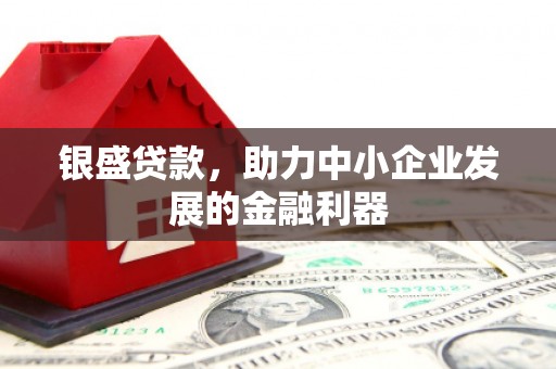 怒江银盛贷款，助力中小企业发展的金融利器