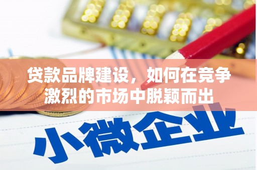海盐贷款品牌建设，如何在竞争激烈的市场中脱颖而出