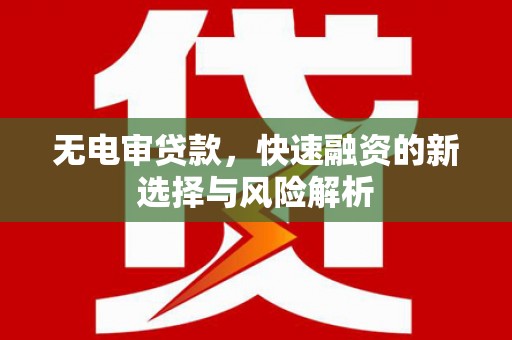 乐东无电审贷款，快速融资的新选择与风险解析