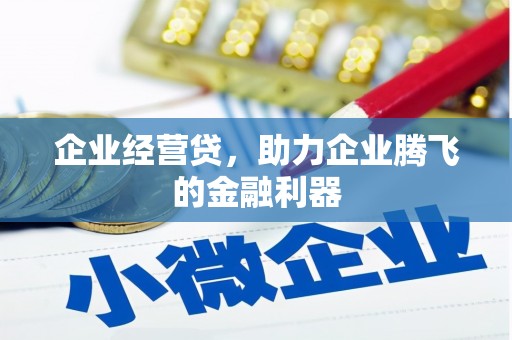含山企业经营贷，助力企业腾飞的金融利器