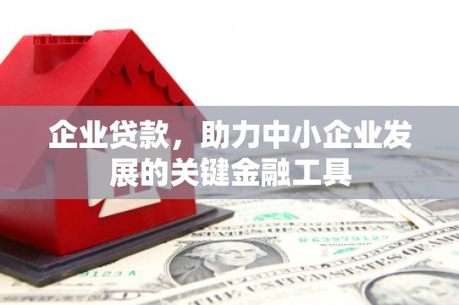 桐城企业贷款，助力中小企业发展的关键金融工具