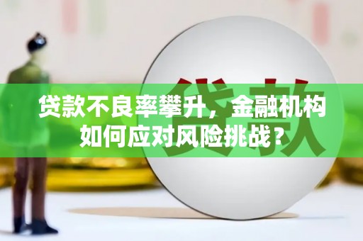 晋州贷款不良率攀升，金融机构如何应对风险挑战？