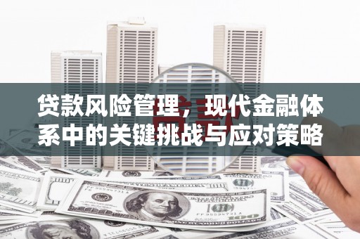 福山贷款风险管理，现代金融体系中的关键挑战与应对策略