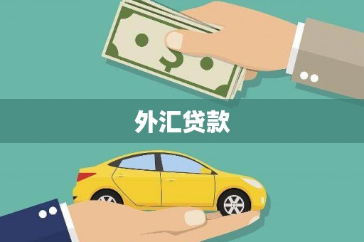 南郊外汇贷款