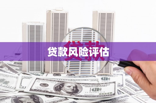 海南贷款风险评估