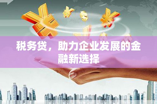 马尔康税务贷，助力企业发展的金融新选择