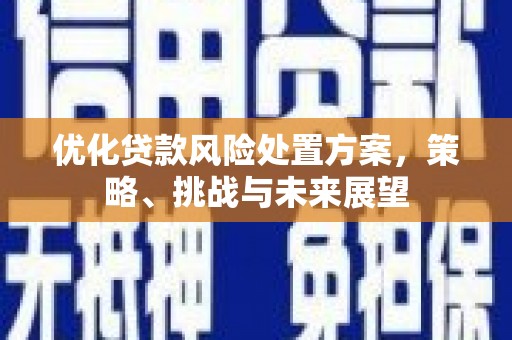 大林优化贷款风险处置方案，策略、挑战与未来展望