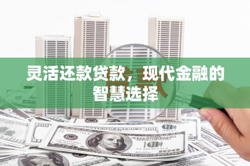南城灵活还款贷款，现代金融的智慧选择