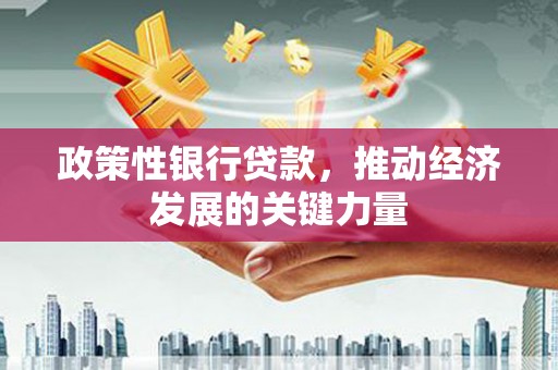 泗阳政策性银行贷款，推动经济发展的关键力量