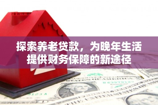 新林探索养老贷款，为晚年生活提供财务保障的新途径