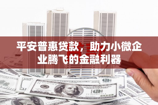 龙口平安普惠贷款，助力小微企业腾飞的金融利器
