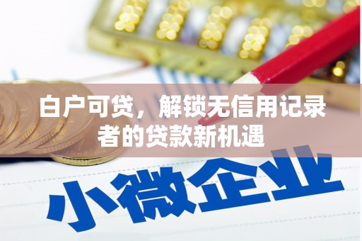 闵行白户可贷，解锁无信用记录者的贷款新机遇