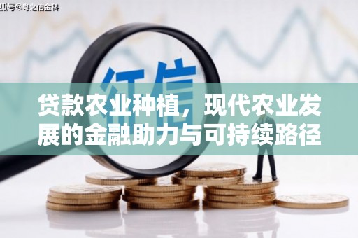 龙岗贷款农业种植，现代农业发展的金融助力与可持续路径