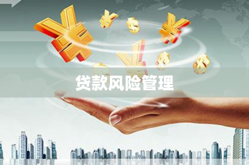 阜康贷款风险管理